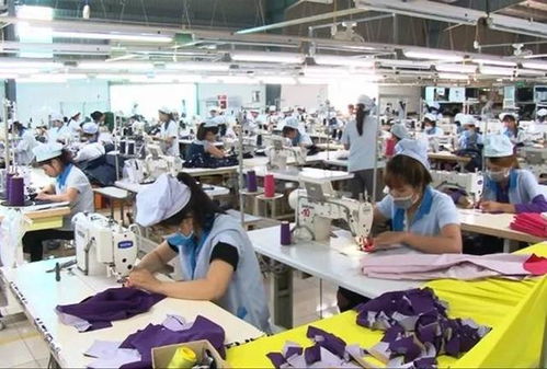 越南鞋厂第二波订单取消 巴西鞋厂瘫痪 意大利鞋厂请求尽快复工